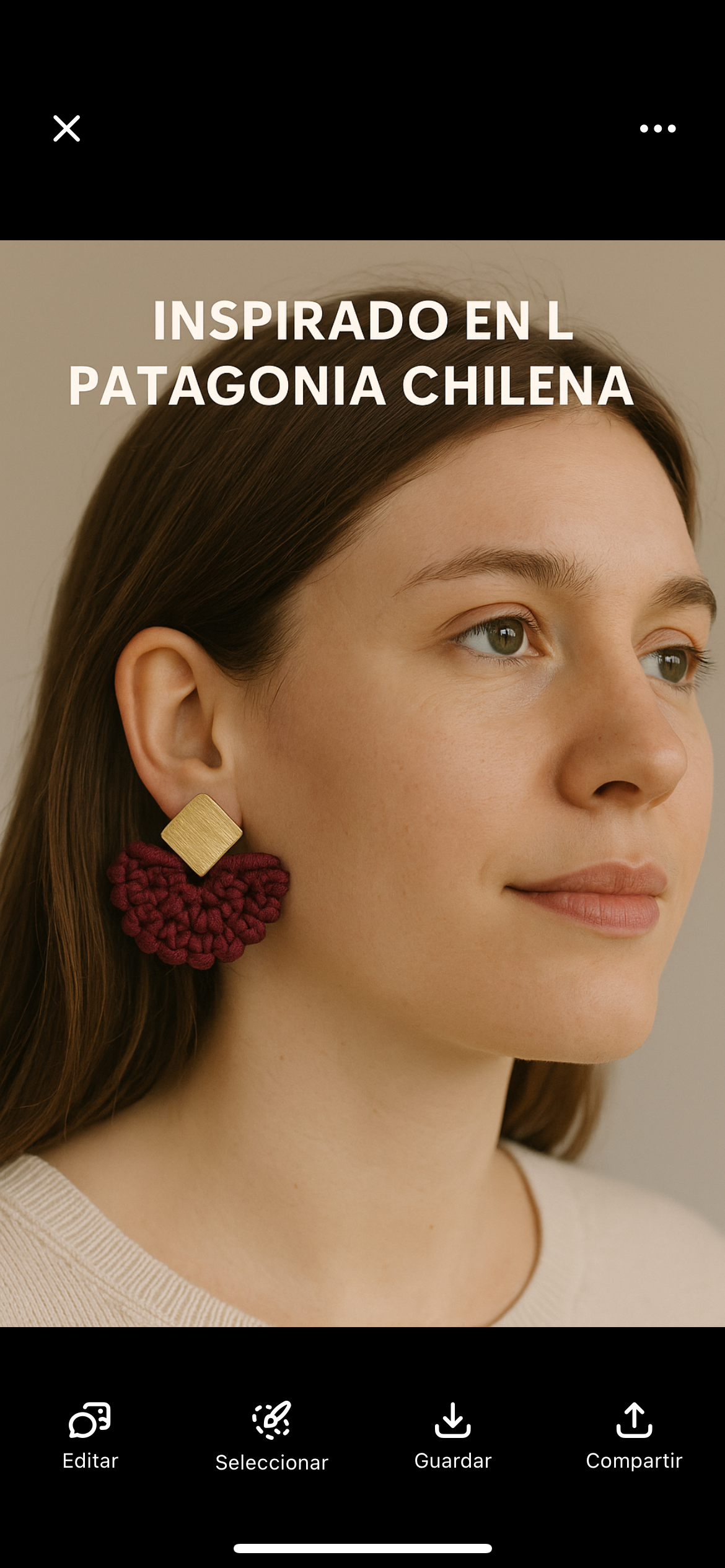 Aros Ñire de Invierno