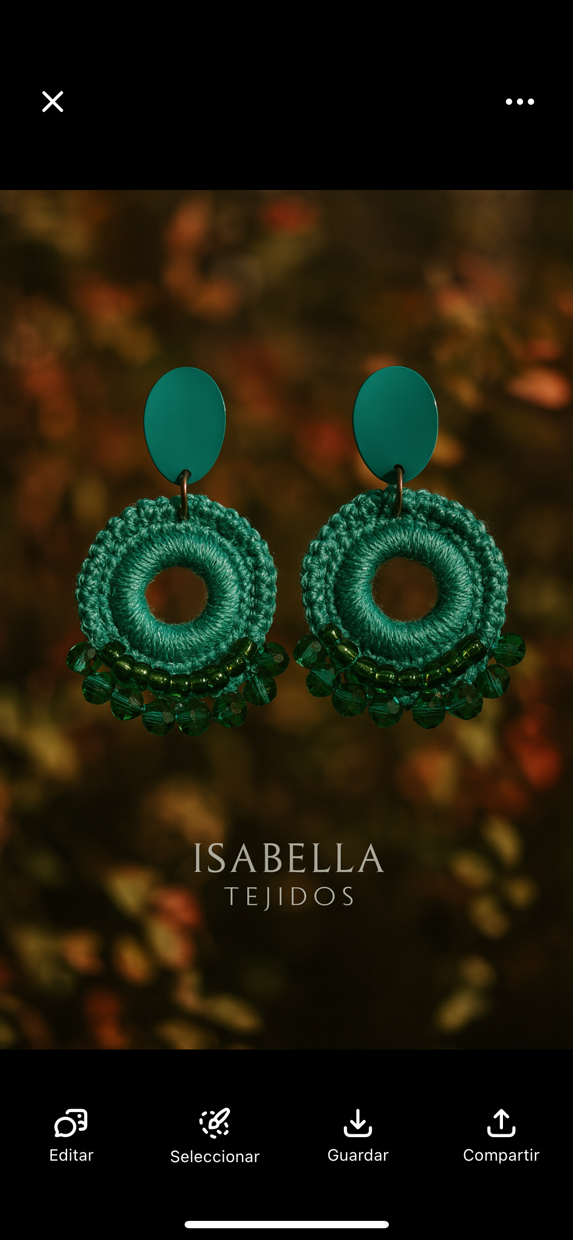 Aros Verde Chilco Austral
